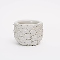 Chen & Kai Stone Fruit Planter
