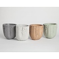 Chen & Kai Stone Fruit Planter