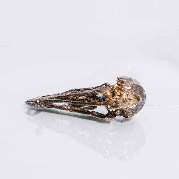 Alice Waese Silver Bird Skull Pin