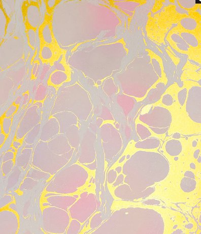 Calico Calico Wallpaper - Wabi