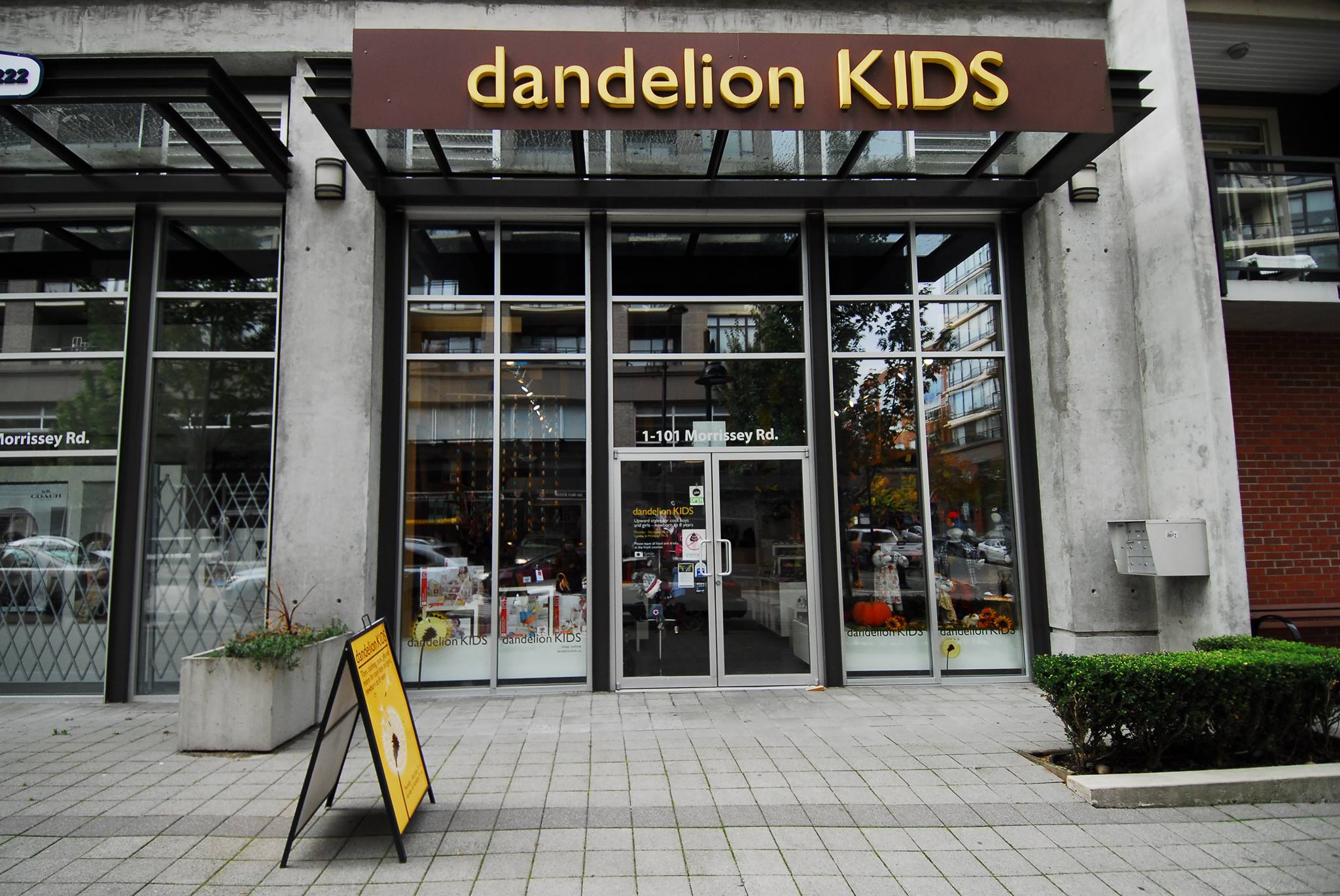 dandelionKIDS - Port Moody