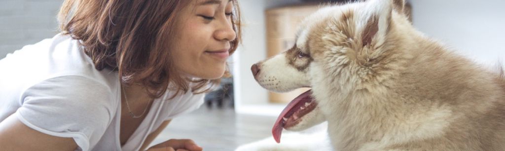 Training Your Dog Not to Bark
