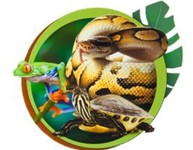 Tous les animaux Tous les animaux