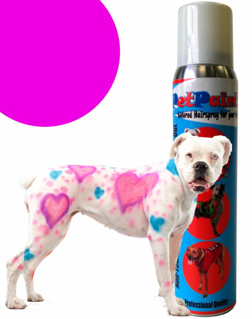 Pet Paint Colored Hair Spray Pug Purple Ronjo Magic Pet Paint Colored Hair Spray Pug Purple