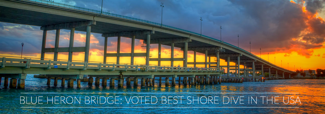 Blue Heron Bridge - One of The Best South Florida Snorkeling Sites