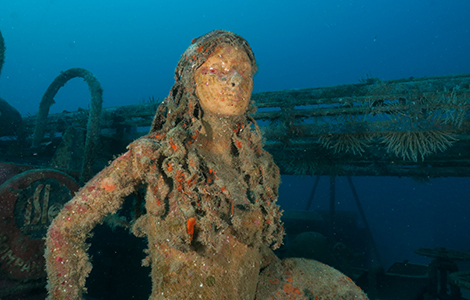 Wreck Diving in South Florida