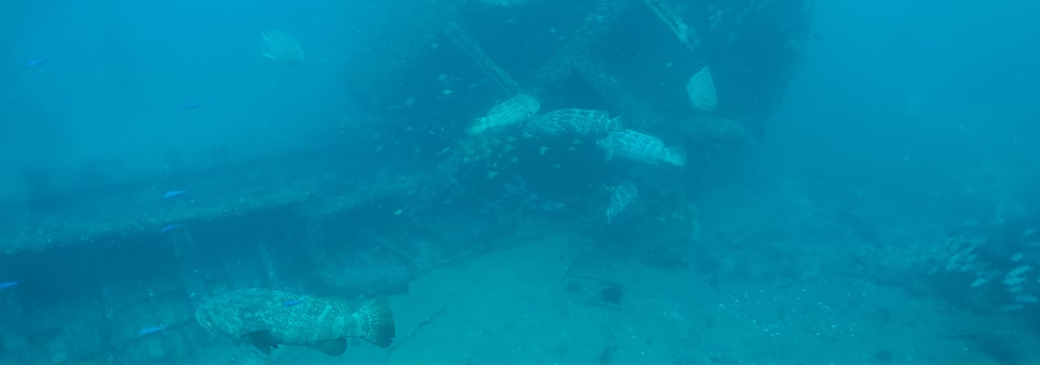 Force-E Scuba Centers - M/V Castor Wreck Dive Site - Force-E Scuba