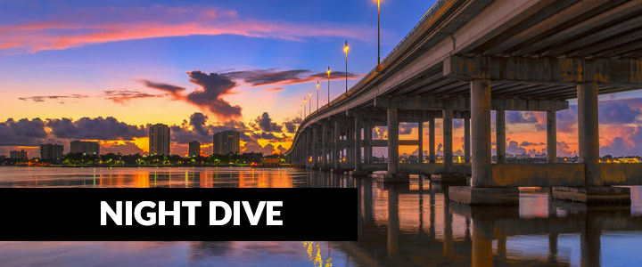 Blue Heron Bridge Night Dive