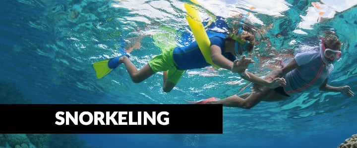 Kids Snorkeling Adventures