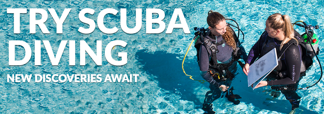 Try Scuba Diving in South Florida