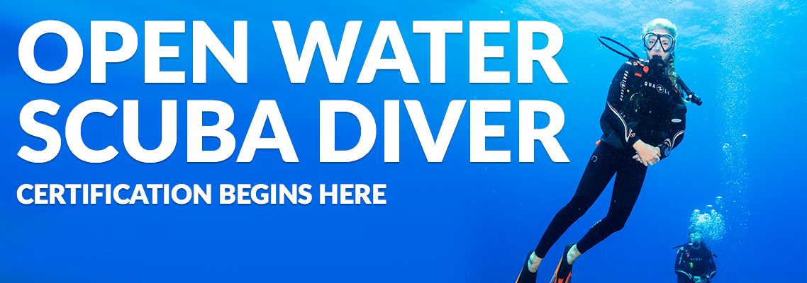 open water diver certification