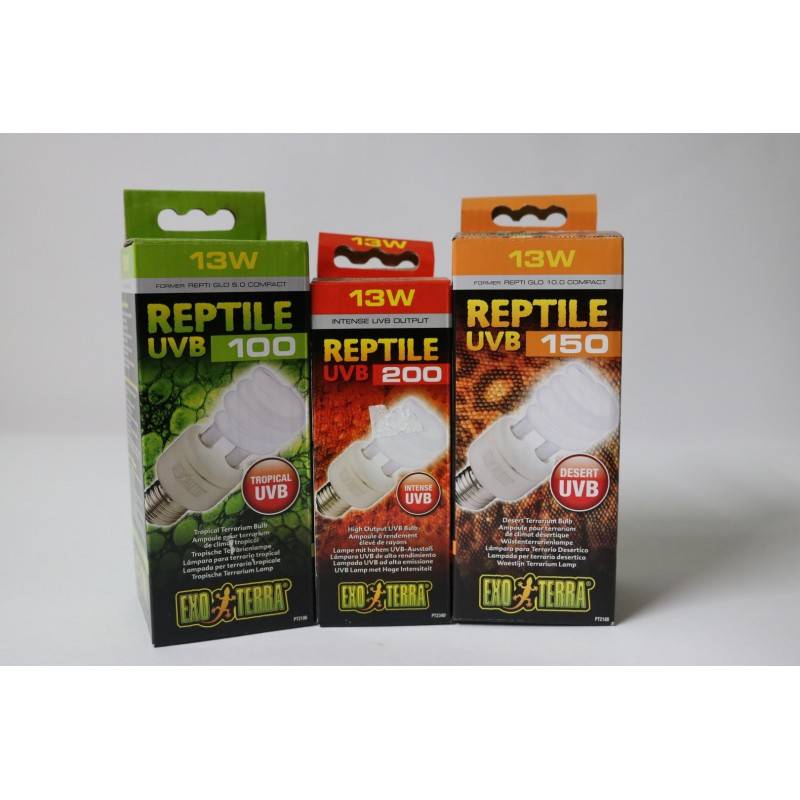 Getting to know Reptile Bulbs