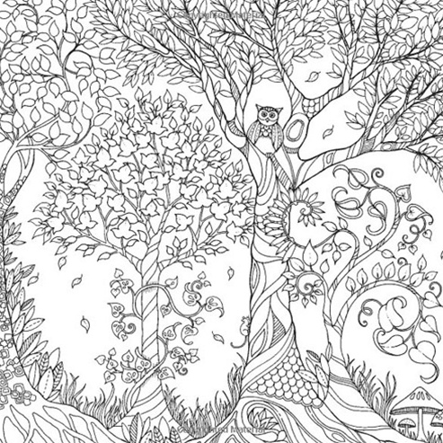 HACHETTE MUDPUPPY JOHANNA BASFORD ENCHANTED FOREST COLORING BOOK