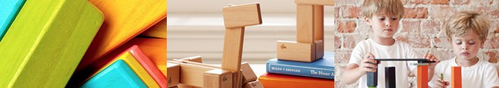 Tegu Magnetic Building Blocks