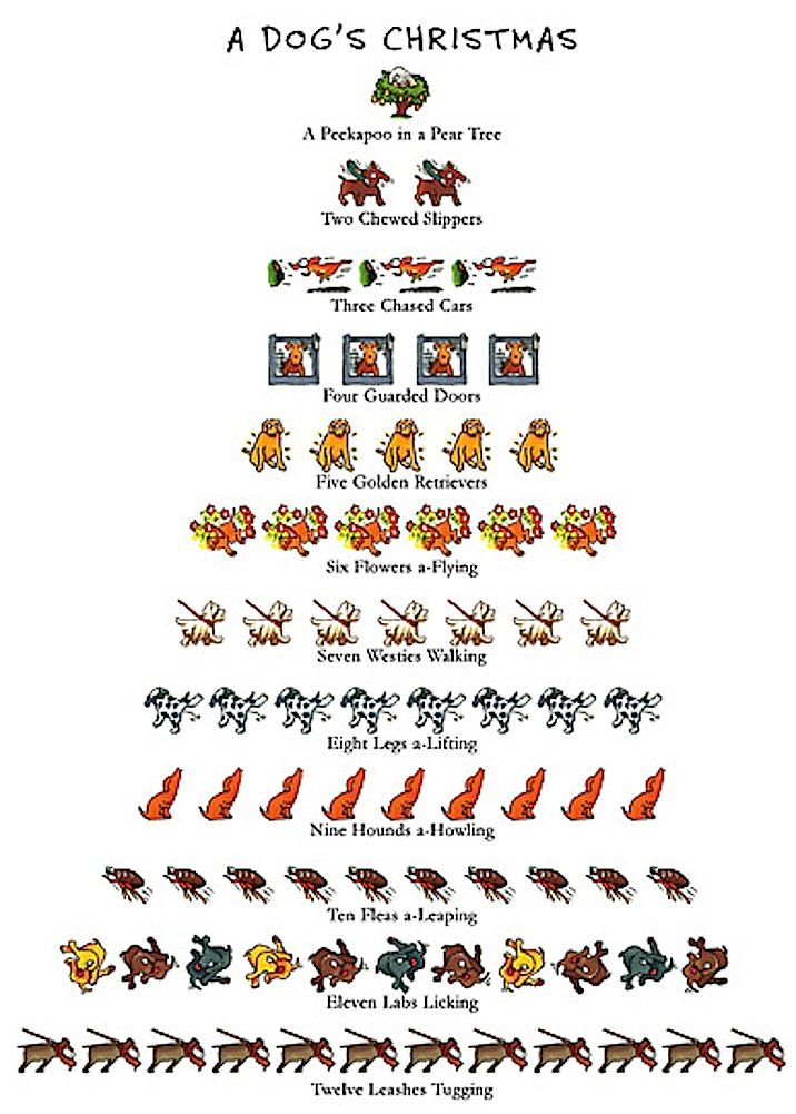 Peking Handicraft A Dogs 12 Days Of Christmas Towel Kitchen Tea Peking Handicraft A Dogs 12 Days Of Christmas Towel Kitchen Tea