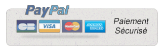 Logo Paypal FR