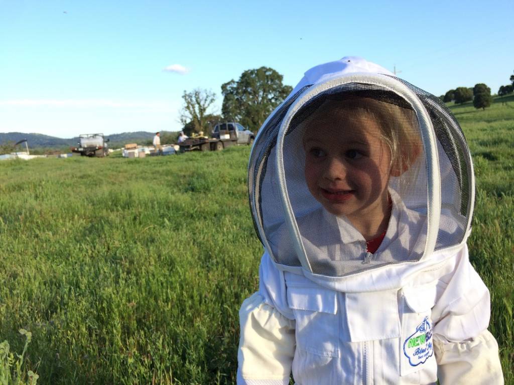 The Littlest Beekeeper