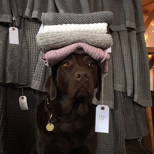 Brand New Batch of Towels
