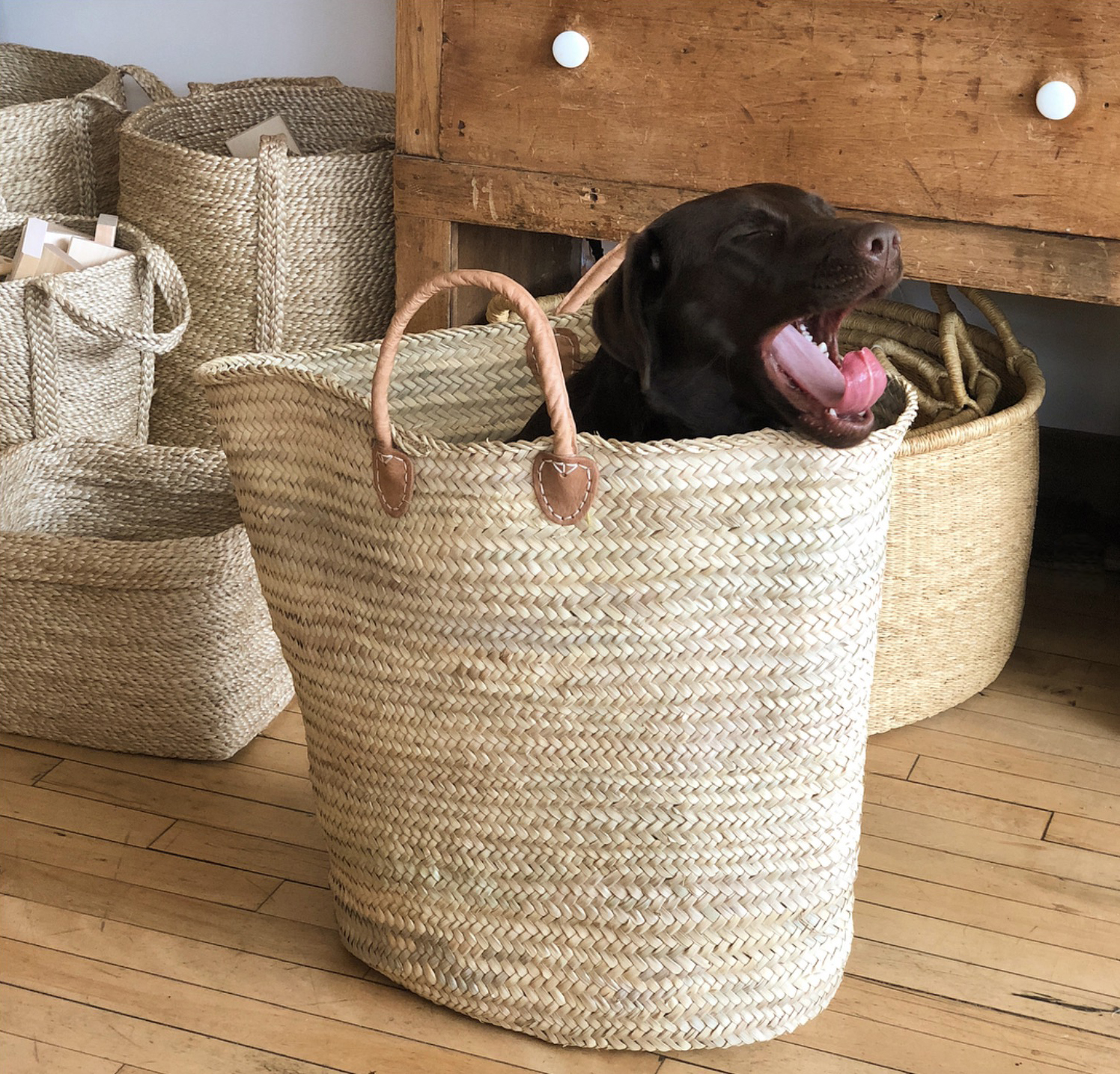 We think it's a foraging basket, the lid is hinged in the back