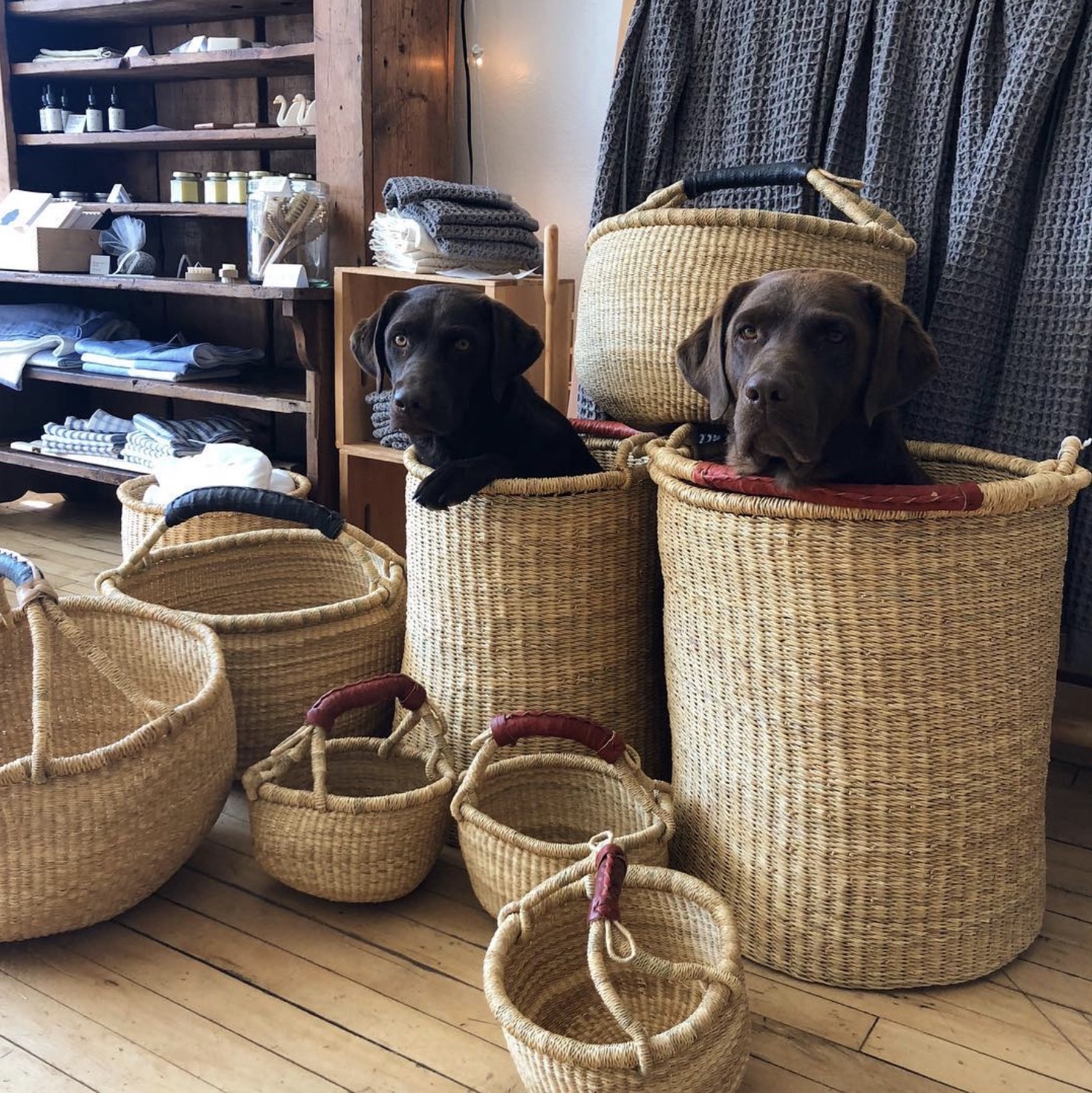 Large Hogla Storage Basket, Natural