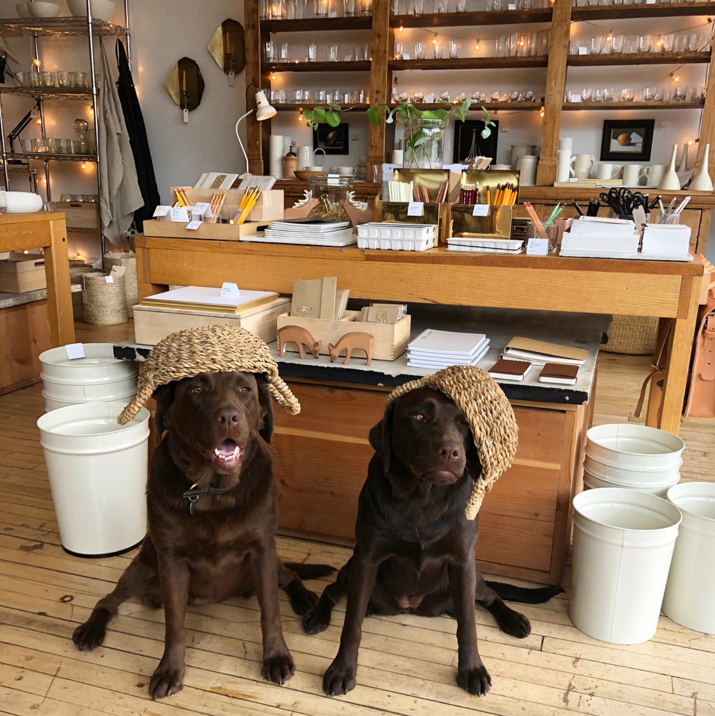 3 Bushel Storage Basket with Natural Leather and 2 Casters - The Foundry  Home Goods