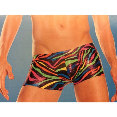RaveWare Foil Rainbow Zebra Men's Trunks