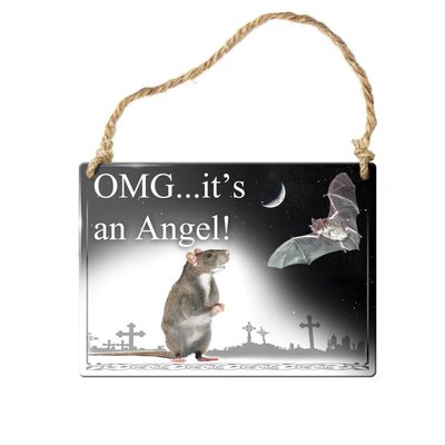 Alchemy England 1977 OMG… It's an Angel! Sign