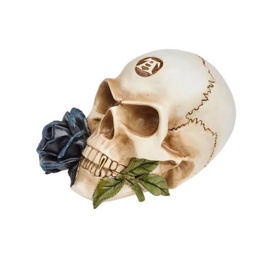 Alchemy England 1977 Black Rose Alchemist Skull