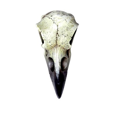 Alchemy England 1977 Reliquary Raven Skull