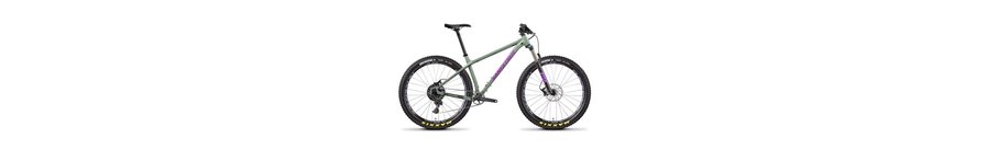 Santa Cruz Chameleon