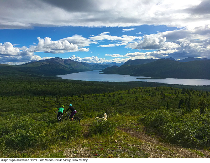 Sovereign Cycle Ride Diary: MTB Trail Hunting in the Yukon