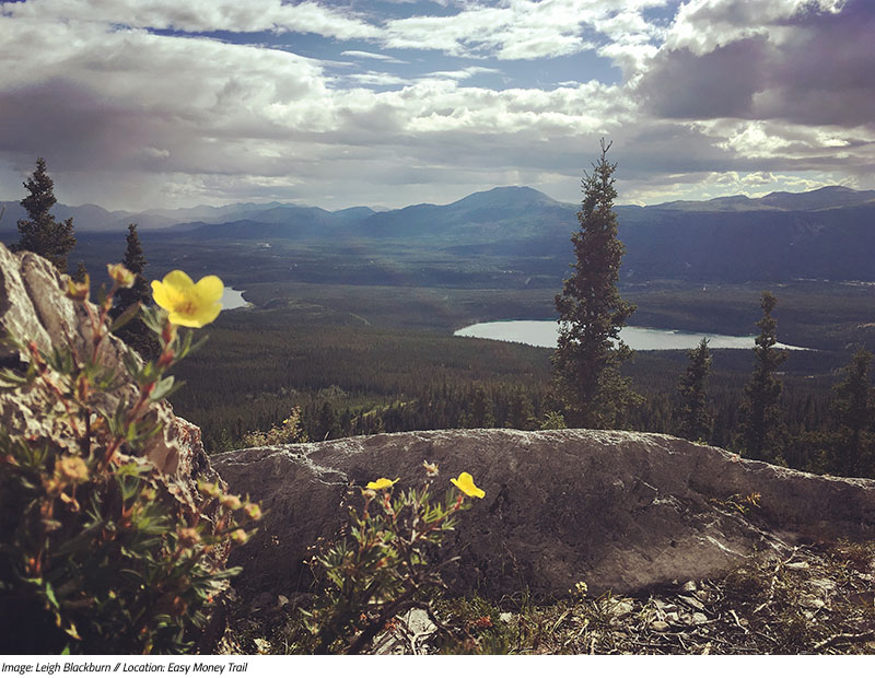 Sovereign Cycle Ride Diary: MTB Trail Hunting in the Yukon