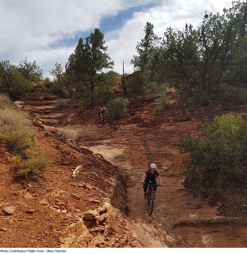 Mountain Biking Slim Shady Trail, Sedona, Arizona Wood Print