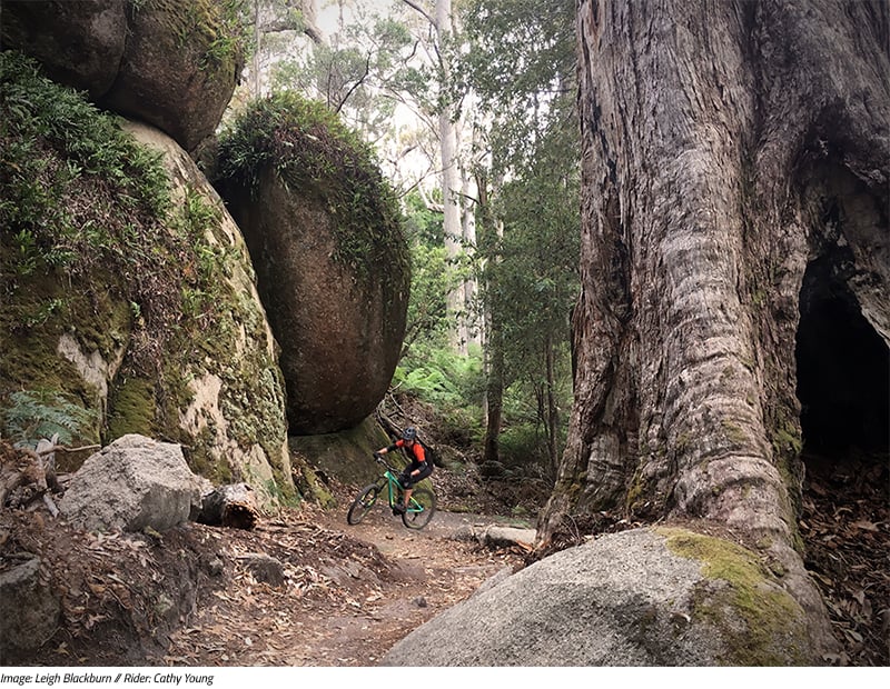 Sovereign Cycle Ride Diary: Forever Dreaming of Derby. An adventure blog about mountain biking in Tasmania. 