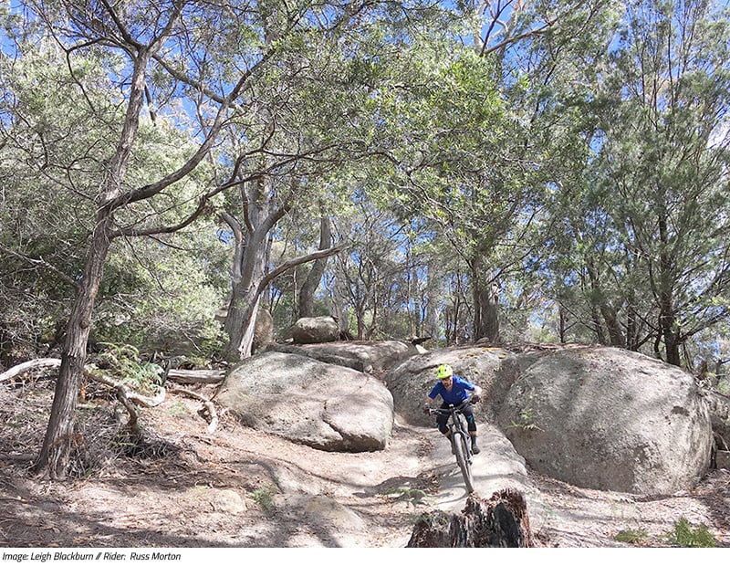 Sovereign Cycle Ride Diary: Forever Dreaming of Derby. An adventure blog about mountain biking in Tasmania. 