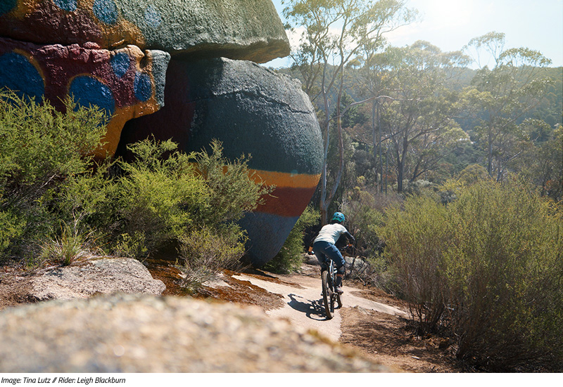 Sovereign Cycle Ride Diary: Forever Dreaming of Derby. An adventure blog about mountain biking in Tasmania. 