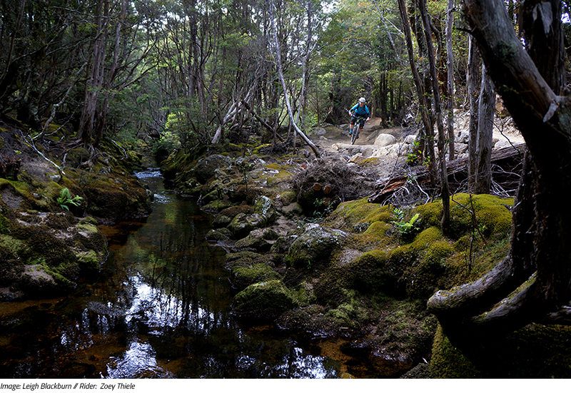 Sovereign Cycle Ride Diary: Forever Dreaming of Derby. An adventure blog about mountain biking in Tasmania. 