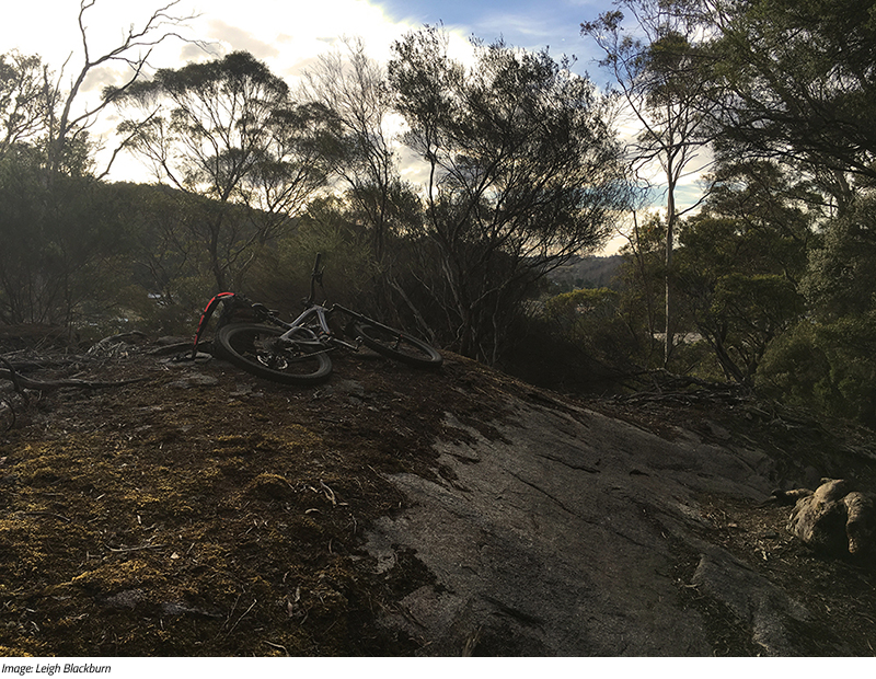 Sovereign Cycle Ride Diary: Forever Dreaming of Derby. An adventure blog about mountain biking in Tasmania. 
