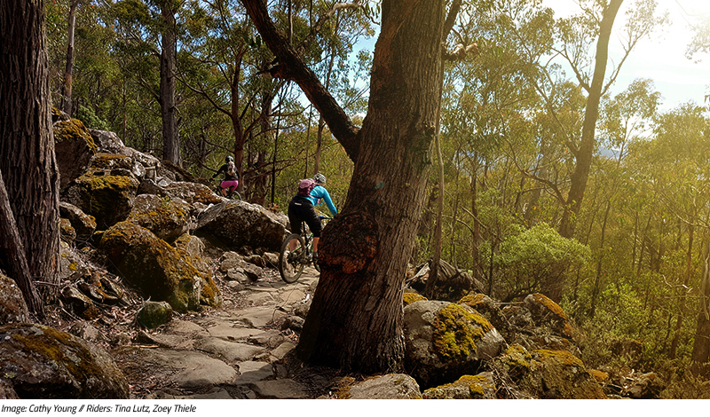 Sovereign Cycle Ride Diary: Forever Dreaming of Derby. An adventure blog about mountain biking in Tasmania. 