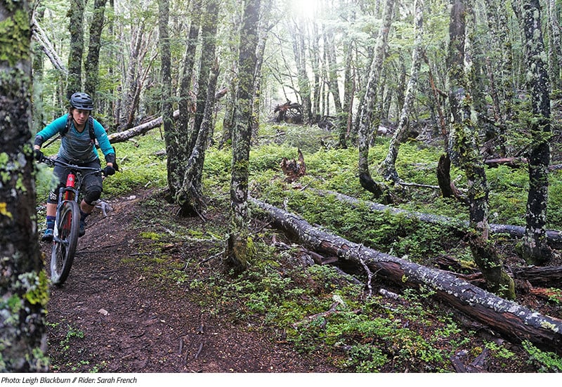 Mountain Biking in New Zealand from the Sovereign Cycle Ride Diary: Always Another Adventure.