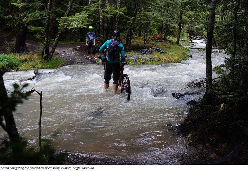 Mountain Biking in New Zealand from the Sovereign Cycle Ride Diary: Always Another Adventure.