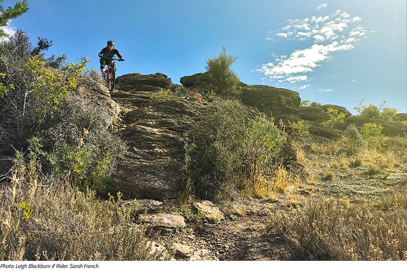 Mountain Biking in New Zealand from the Sovereign Cycle Ride Diary: Always Another Adventure.