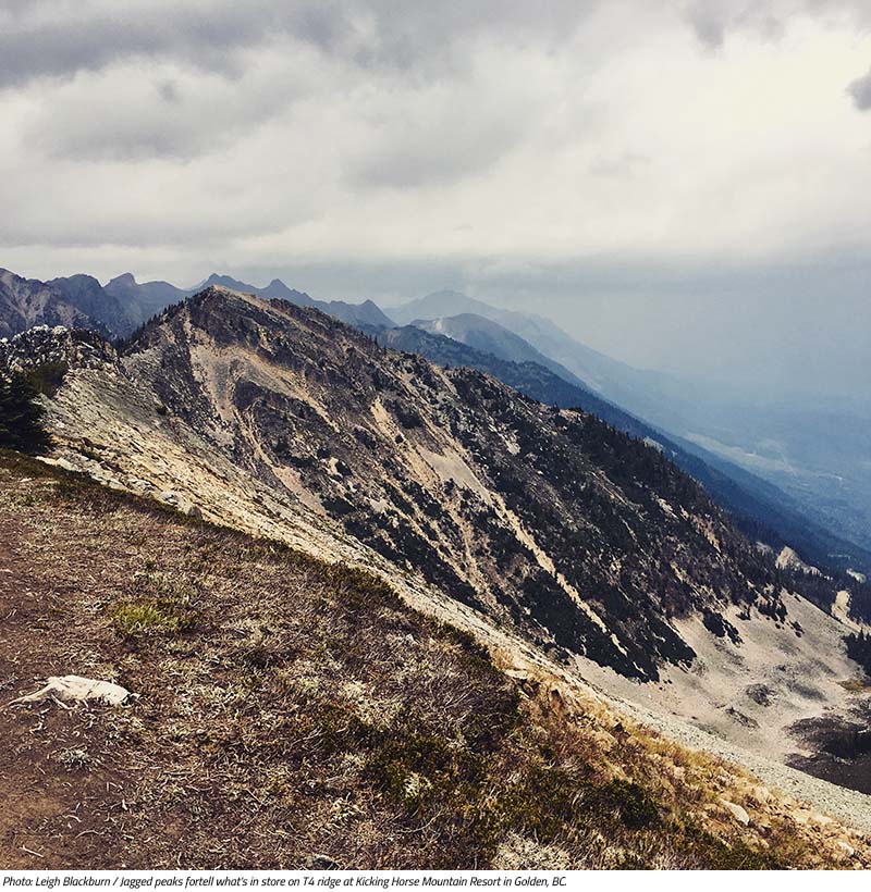 Jagged peaks on T4 Ridge in Golden, BC. Image by Leigh Blackburn from the Sovereign Cycle blog post: Is Now the Golden Age of Mountain Biking?