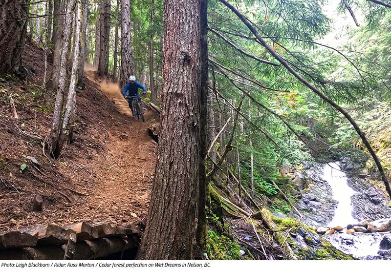 Russ Morton rides through cedar forest perfection on Wet Dream in Nelson, BC. Image by Leigh Blackburn from the Sovereign Cycle blog post: Is Now the Golden Age of Mountain Biking?