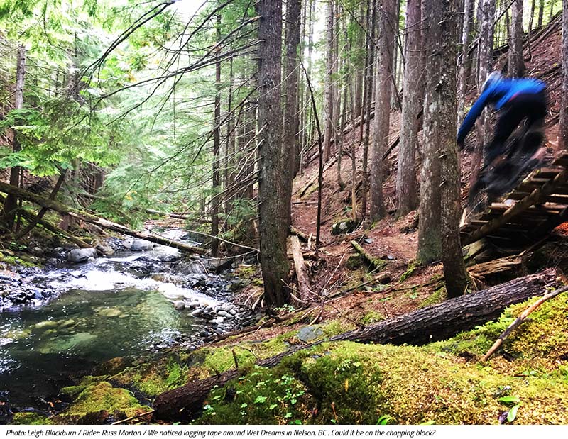 We noticed logging tape around Wet Dream in Nelson, BC. Could it be on the chopping block? Image by Leigh Blackburn from the Sovereign Cycle blog post: Is Now the Golden Age of Mountain Biking?