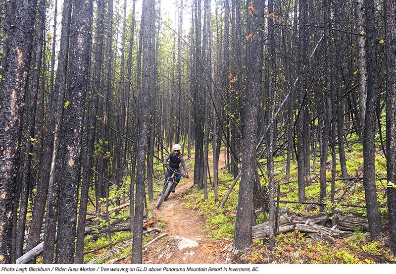 Russ Morton tree weaving on G.L.D. in Invermere, BC. Image by Leigh Blackburn from the Sovereign Cycle blog post: Is Now the Golden Age of Mountain Biking?