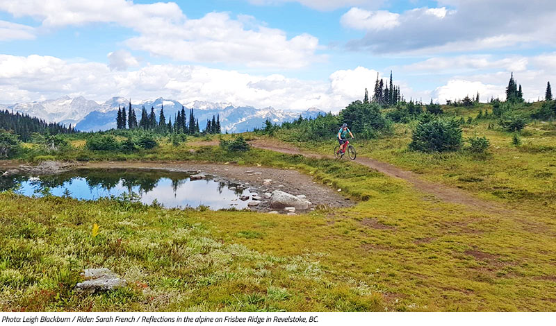 Sarah French on Frisby Ridge in Revelstoke BC. Image by Leigh Blackburn from the Sovereign Cycle blog post: Is Now the Golden Age of Mountain Biking?