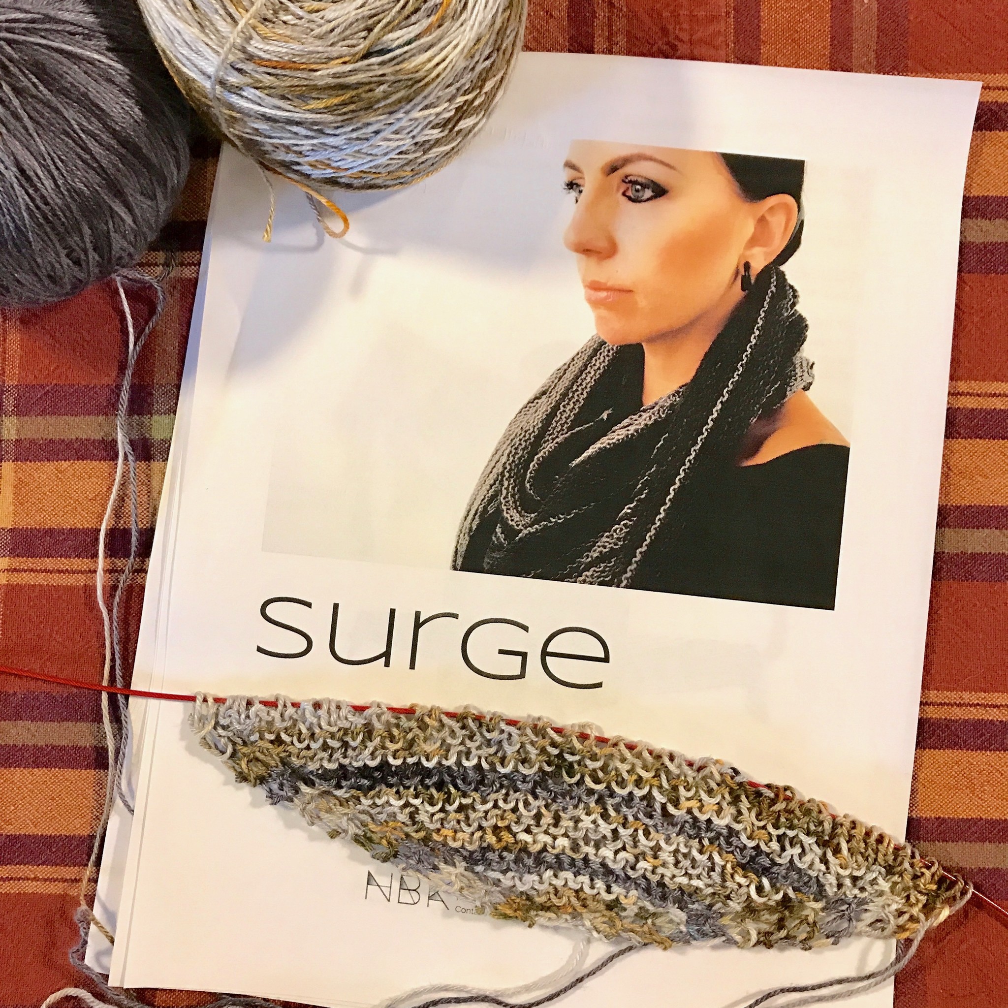 Sue2Knits Surge WIP