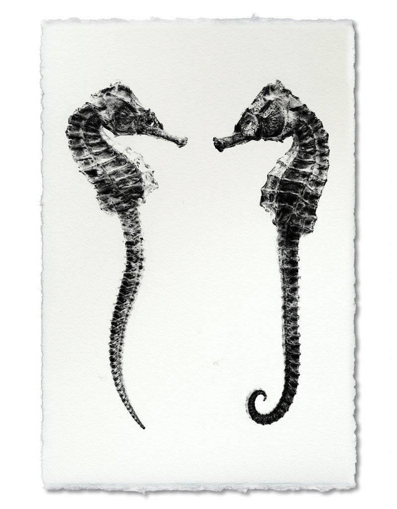 seahorse print