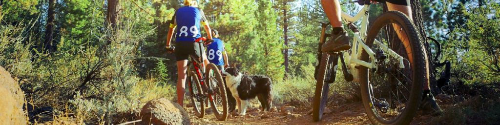 Top Ten Lake Tahoe Mountain Biking Trails for Fall